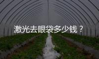 激光去眼袋多少錢？