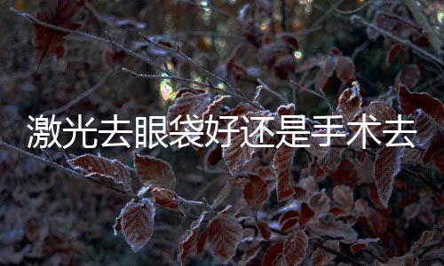 激光去眼袋好還是手術(shù)去除好？激光去眼袋的術(shù)后護理？
