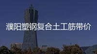 濮陽塑鋼復合土工筋帶價格