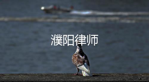 濮陽律師