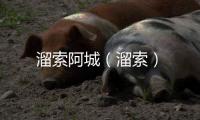 溜索阿城（溜索）