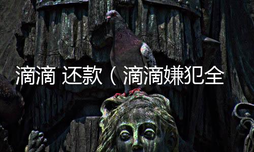 滴滴 還款（滴滴嫌犯全家還貸）