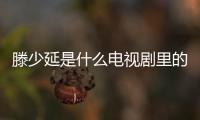 滕少延是什么電視劇里的人物