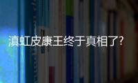 滇虹皮康王終于真相了?