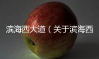 濱海西大道（關于濱海西大道的基本情況說明介紹）