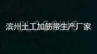 濱州土工加筋帶生產廠家
