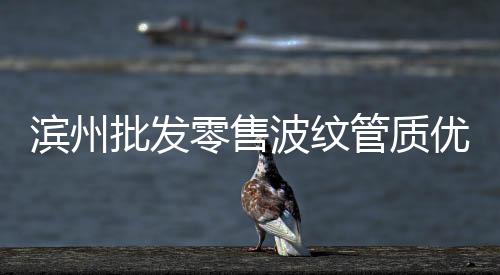 濱州批發(fā)零售波紋管質(zhì)優(yōu)價廉