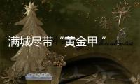 滿城盡帶“黃金甲 ”！黃花風鈴木又驚艷了梅城，速約！