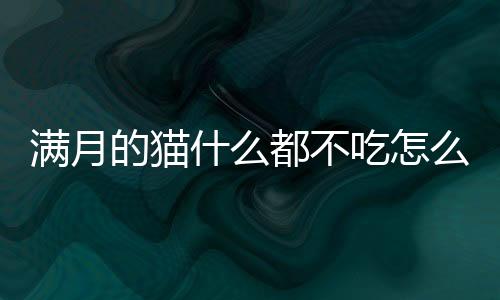 滿月的貓什么都不吃怎么辦？滿月的貓什么都不吃怎么回事