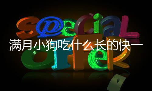 滿月小狗吃什么長(zhǎng)的快一點(diǎn)？滿月小狗吃什么長(zhǎng)得快
