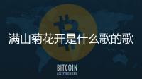 滿山菊花開是什么歌的歌詞（菊花爆滿山的歌詞）