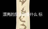漂亮的反義詞是什么 標(biāo)準(zhǔn)答案（漂亮的反義詞是什么）