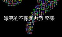 漂亮的不像實力派 堅果Pro2白色版圖賞