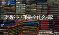 漩渦劉小寐是個什么梗?