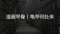 漫畫甲骨丨龜甲何處來