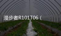 漫步者R101T06（漫步者 r101t06）