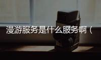 漫游服務是什么服務啊（漫游是什么服務呀）