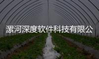 漯河深度軟件科技有限公司以及漯河深度軟件科技的情況分析