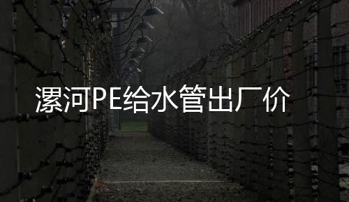 漯河PE給水管出廠價
