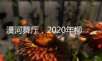 漠河舞廳，2020年柳爽演唱歌曲