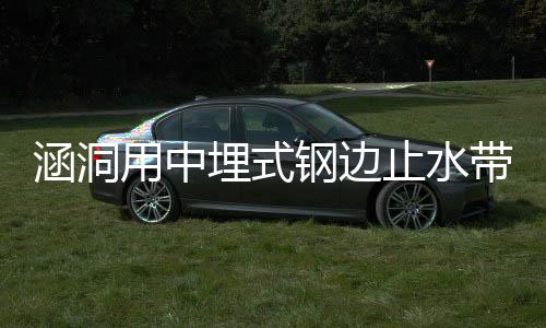 涵洞用中埋式鋼邊止水帶價格