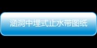 涵洞中埋式止水帶圖紙