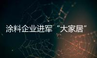 涂料企業(yè)進(jìn)軍“大家居” 資金技術(shù)不可缺