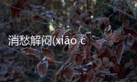 消愁解悶(xiāo chóu jiě mèn)這又是個什么梗?