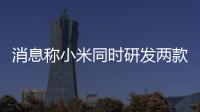 消息稱小米同時研發(fā)兩款車 小米汽車價格26萬起