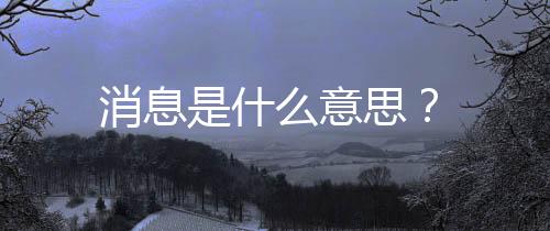 消息是什么意思？