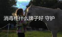 消毒柜什么牌子好 守護(hù)餐飲健康就選專業(yè)消毒的TA