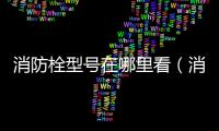 消防栓型號(hào)在哪里看（消防栓型號(hào)）