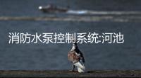 消防水泵控制系統:河池水泵消防控制器