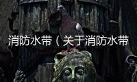 消防水帶（關于消防水帶的基本情況說明介紹）