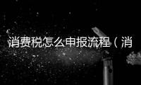 消費稅怎么申報流程（消費稅怎么申報）