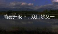 消費(fèi)升級(jí)下，眾口妙又一爆品成為餐飲渠道必殺器！