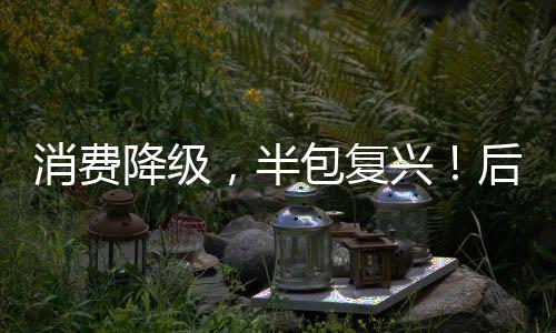 消費降級，半包復興！后疫情時代的發展之痛