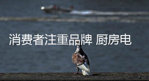 消費者注重品牌 廚房電器企業杜絕山寨風