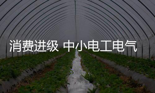 消費進級 中小電工電氣企業呈發展新趨勢