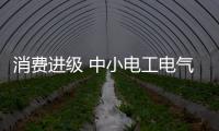 消費進級 中小電工電氣企業呈發展新趨勢