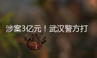 涉案3億元！武漢警方打掉流竄作案洗錢團伙