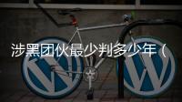涉黑團伙最少判多少年（涉黑團伙）