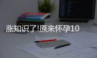 漲知識了!原來懷孕10個月有這樣的奧秘你知道嗎？