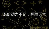 漲價動力不足，陰雨天氣影響！,行業(yè)資訊