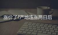 漲價了?產地連漲兩日后 北港出現苗頭 這波漲價能持續多久?
