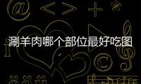 涮羊肉哪個部位最好吃圖片（涮羊肉哪個部位最好）