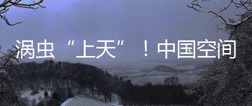渦蟲“上天”！中國空間站將迎新生命體