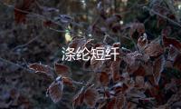 滌綸短纖