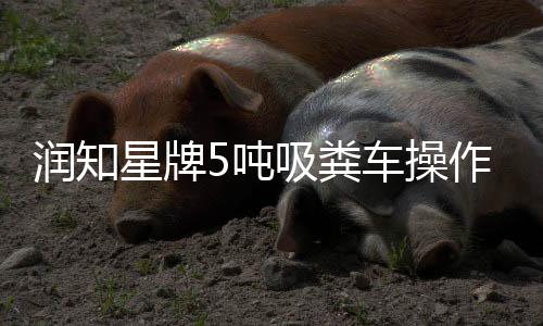 潤知星牌5噸吸糞車操作步驟說明專汽家園