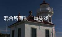 混合所有制“重頭戲” 離不開資本市場“大舞臺”